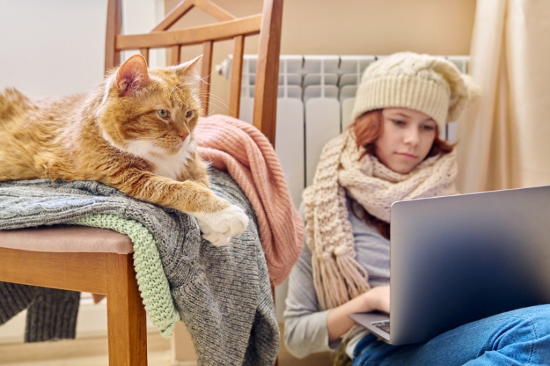 Why Is My Furnace Blowing Cold Air? Preteen girl in knitted scarf hat is warming near heating radiator using laptop for leisure study with ginger cat lying on chair. Cold autumn winter season, home lifestyle, kids concept.