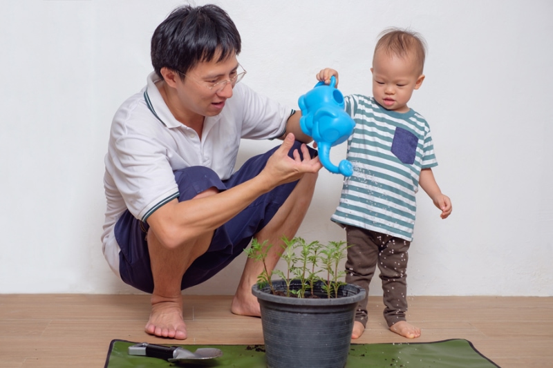Smiling Middle age asian father teaching his cute little asian 18 months / 1 year old toddler baby boy child about plants at home / apartment in the urban city,  they watering plant from watering can